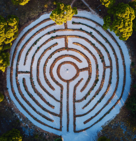 aerial-view-of-circular-hedge-maze-surrounded-by-t-2025-03-16-19-33-26-utc
